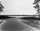 Bridge - Pinellas County, Florida