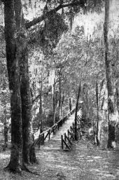 Rustic bridge - White Springs, Florida