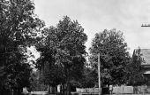 Jefferson Street - Brooksville, Florida