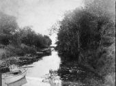 Canal between lakes Lizzie and Alligator - Osceola County, Florida
