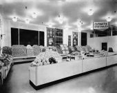 Zellwood Distributors display in an Albany, New York store