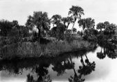 Taylor Creek - Fort Pierce, Florida.