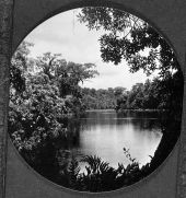 Rock Springs Creek - Orange County, Florida