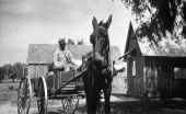 Mr. Ford's hauling service - Crystal River, Florida