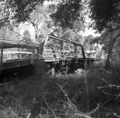 Steinhatchee Springs Bridge over the Steinhatchee River - Lafayette County, Florida