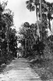 Retta Street extension - De Leon Springs, Florida