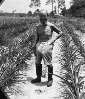 George S. Morikami in his pineapple field - Delray Beach, Florida.