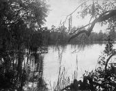 Dream Lake - Apopka, Florida