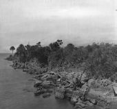 Coquina shoreline - Eau Gallie, Florida