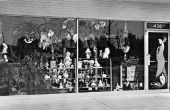 Kitty Kell's Ceramics - Dunedin, Florida