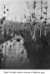 Road through cypress swamp to mission post - Everglades, Florida