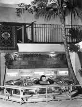 Agricultural display in the Florida Pavilion - Chicago, Illinois