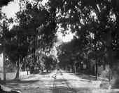 Trolley on Seventh Street - Fernandina, Florida