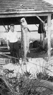 165 pound tarpon