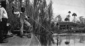 Gigging from steamer, on Ocklawaha River, Fla.