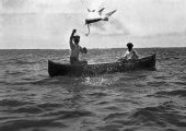 Tarpon jumping.