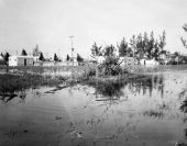 Flood - Clewiston, Florida