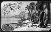 Illustrated Florida - nineteen unbound color plates