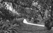 Orchid Lane, Thomas A. Edison winter home - Fort Myers, Florida