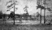 More place - Haines City, Florida