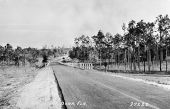 U.S. Highway 441 in Mt. Dora - Mount Dora, Florida.