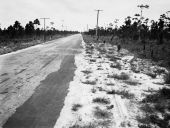 Red Road from South Miami to Chapman Field built by the FERA- Florida.