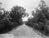 Road - near Clewiston, Florida