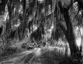 Car on rural road - Hillsborough County, Florida