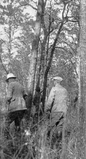 Quail hunting on Luna Plantation - Leon County, Florida