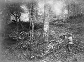 Turkey hunting in Jackson County - Florida