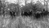 Wagon and ponies starting on a quail shooting expedition