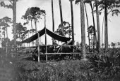 Corral at surveyors' camp