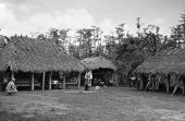 Village in Big Cypress Reservation - Florida