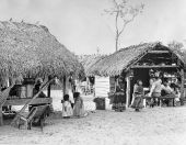 Indian reservation - near Clewiston, Florida