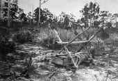 Indian gravesite - near Fort Pierce, Florida