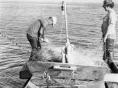 Setting out a beach seine