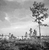 Outlying sawmill.