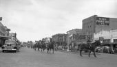 Horses marching in parade - Kissimmee, Florida