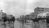 Horses marching in parade - Kissimmee, Florida