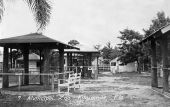 Municipal zoo on the lakefront - Kissimmee, Florida