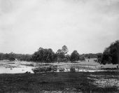 Lake near Tallahassee, Florida