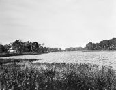 Lake scene - Lake Helen, Florida