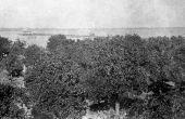 Trolley line extending out to Manatee River steamer dock