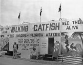 Walking catfish exhibit ;Florida