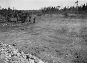 Land being cleared for a park in South Miami.