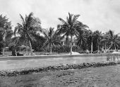 Construction of Miramar seawall