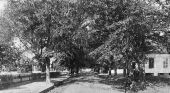 View down East Washington Street - Monticello