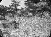 Unidentified shell mound