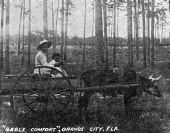 Travel by ox cart