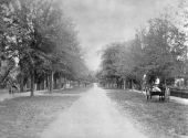 Tree-lined Volusia Avenue - Orange City, Florida